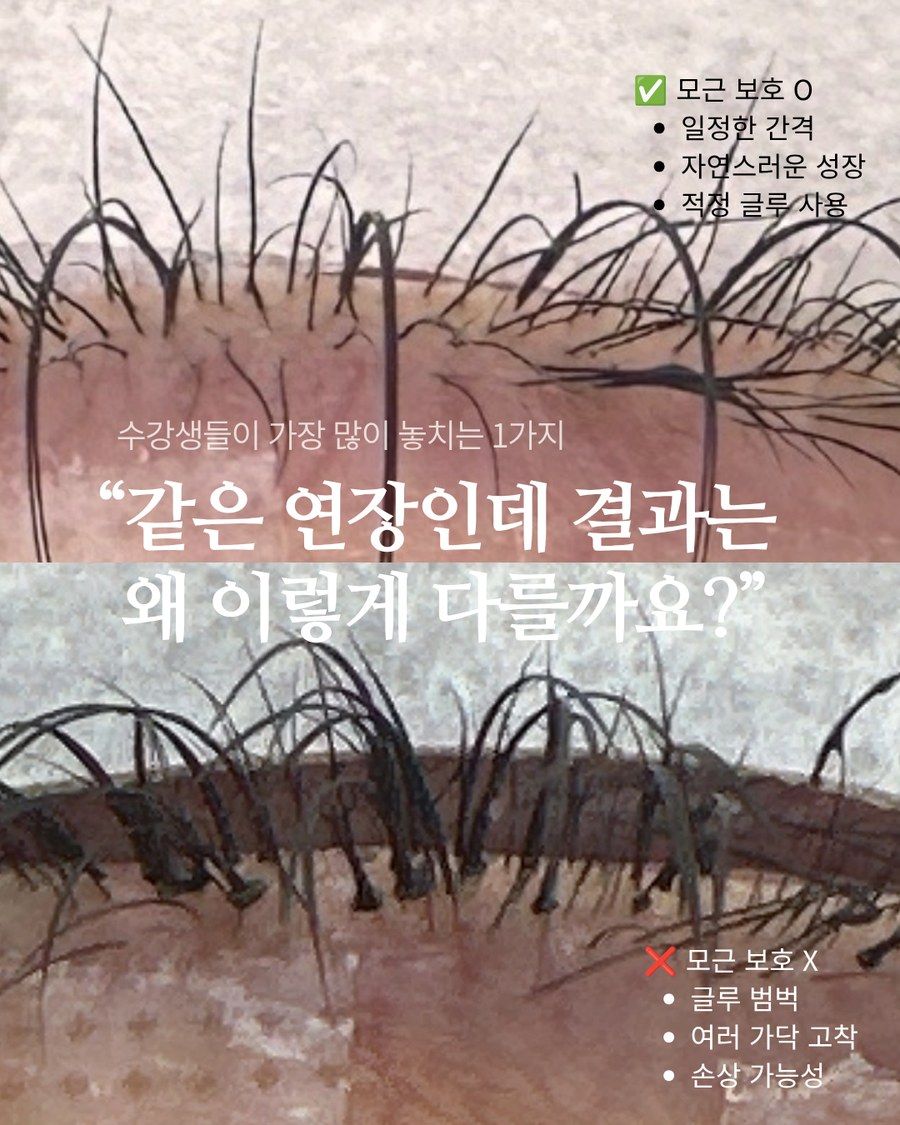 모근 보호가 된 연장과 글루가 뭉쳐 여러 가닥이 고착된 연장의 확대 비교